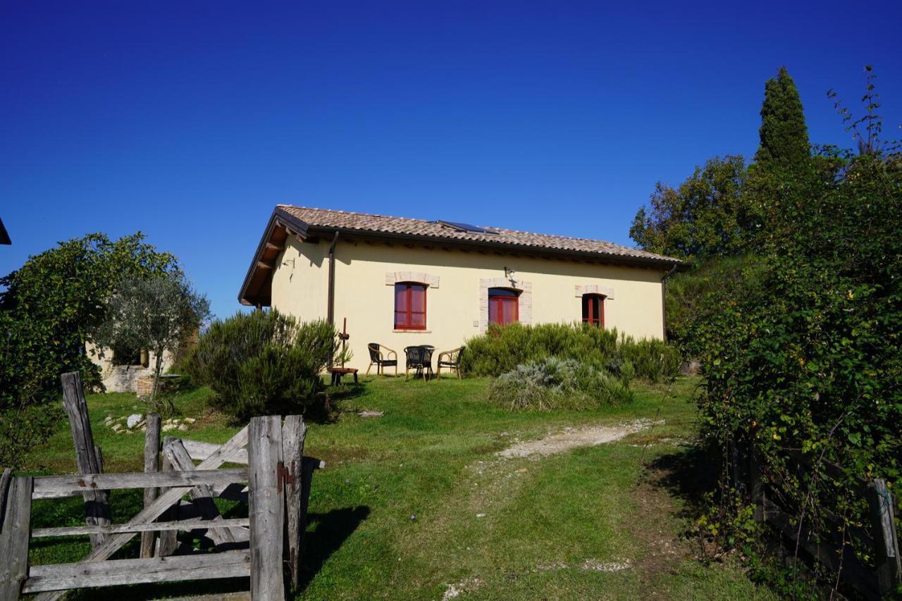 Agriturismo Il Sarale - Umbria Città di Castello Eksteriør bilde