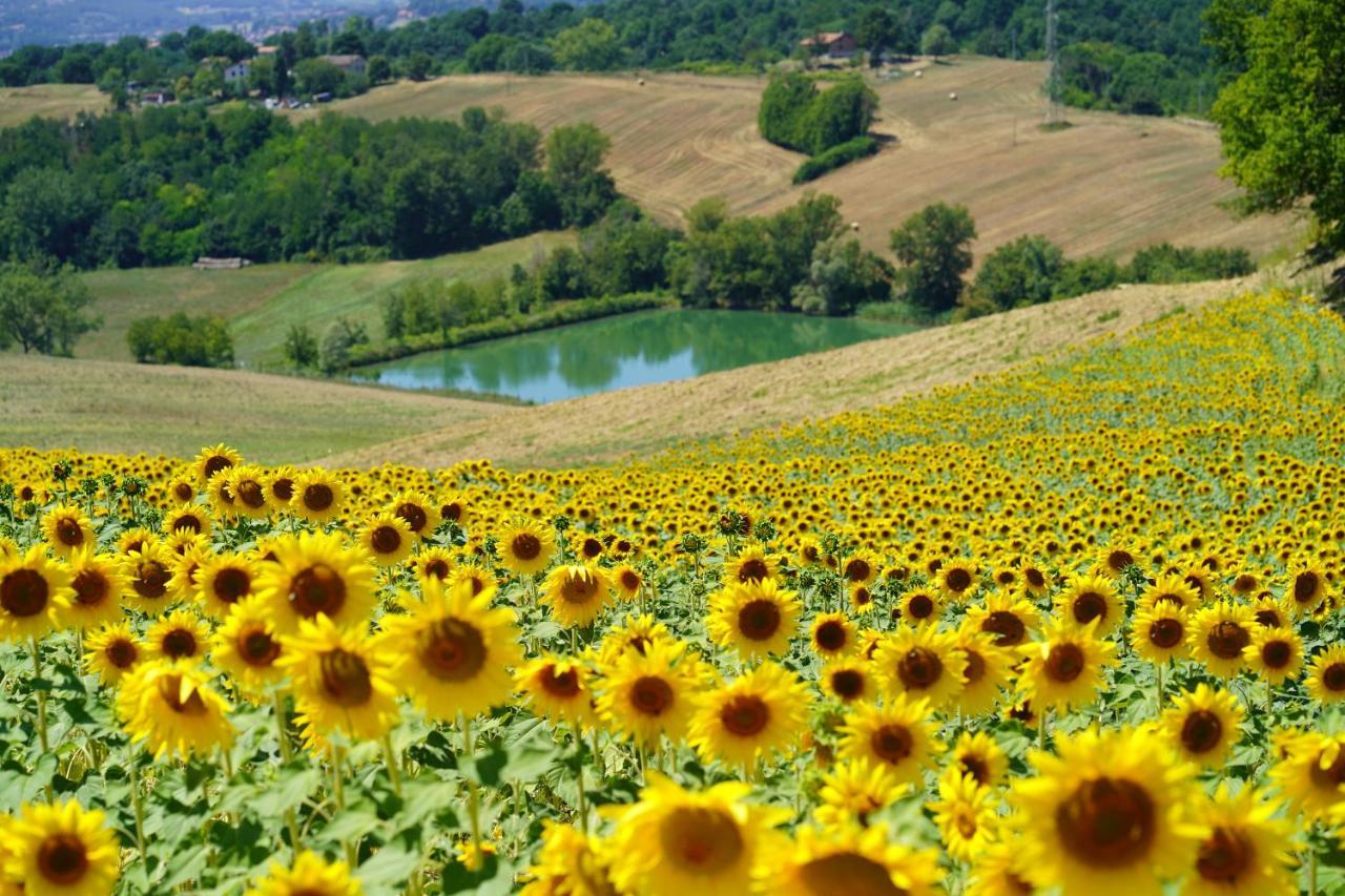 Agriturismo Il Sarale - Umbria Città di Castello Eksteriør bilde