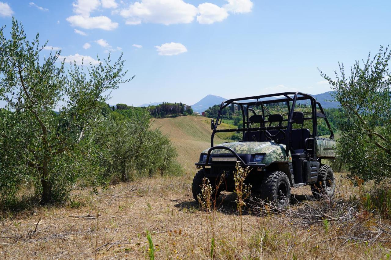 Agriturismo Il Sarale - Umbria Città di Castello Eksteriør bilde