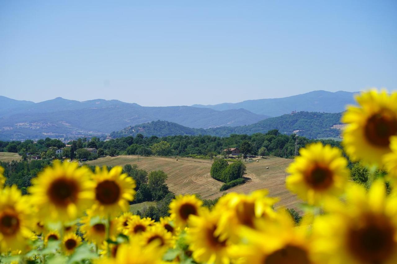 Agriturismo Il Sarale - Umbria Città di Castello Eksteriør bilde